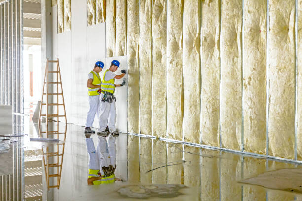 Best Cellulose Insulation in Copperas Cove, TX